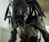 predalien.jpg