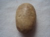 DSC00851.JPG