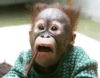 monkey_shock.gif