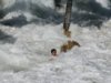 tsunami.jpg