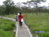 PICT0536.JPG