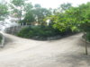 P1000591.JPG