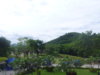P1000540.JPG