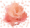 Rose glass3.jpg