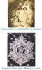 emoto_before-after.jpg