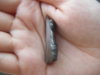 DSCF1894.JPG