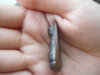 DSCF1895.JPG