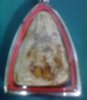 10092010033.jpg