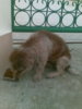 ภาพ126.jpg