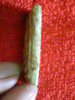 DSC01720.JPG