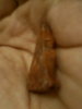 IMG0836A.jpg