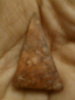 IMG0835A.jpg
