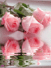 87511c24e0afe09e950ec69c0e9814f9.gif