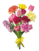 119316ef3081.png