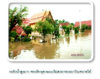 Flood_p510922p2.jpg