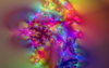 light-vortex-fractal-art-01.jpg