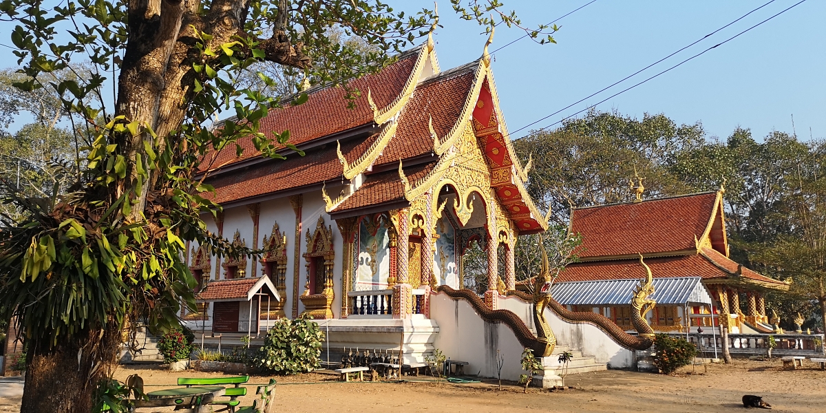 WatnongbueCM