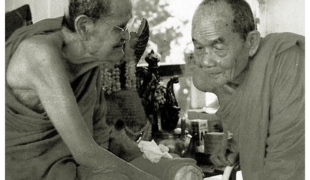 "ธรรมทั้งหลายมีใจเป็นใหญ่" (หลวงปู่ขาว อนาลโย)