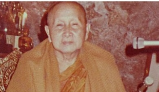 "กามทั้งมวลล้วนแต่นำทุกข์มาให้"  (หลวงปู่สิม พุทธาจาโร)