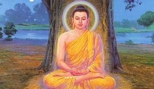 Buddhainthemorning