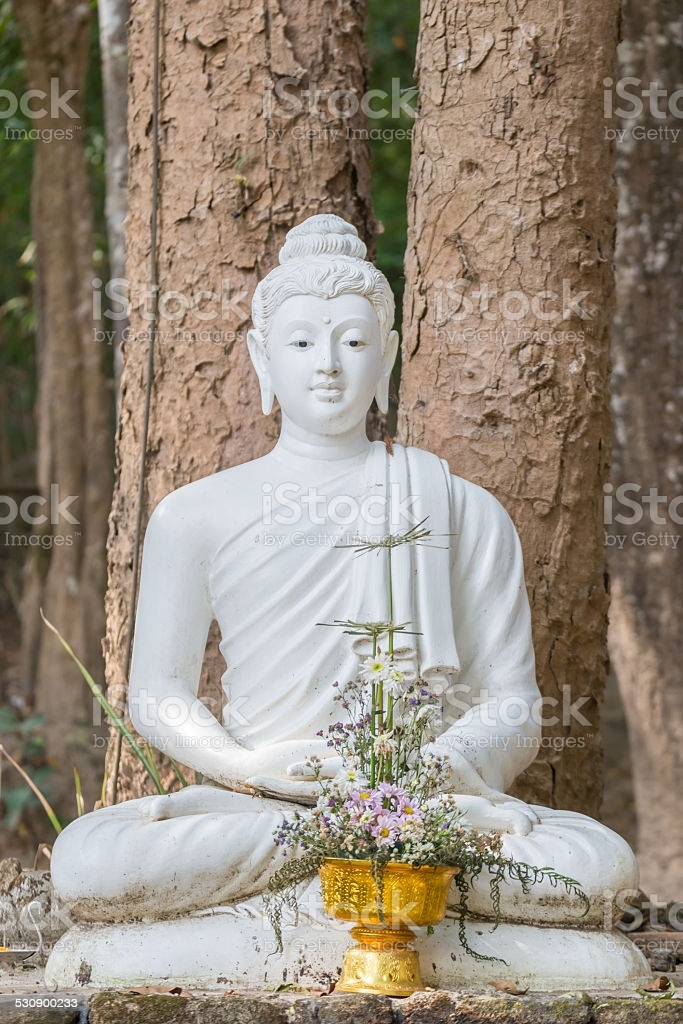 Beautiful white Buddha statue in the forrest Wat Thailand