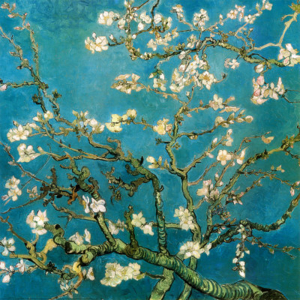 8646~Almond Branches in Bloom San Remy c 1890 Posters