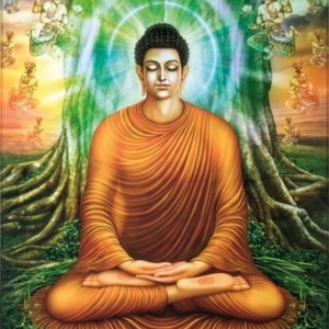 Buddhabeauty