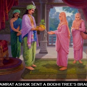 King Asok sent his daughter to plant other Bothi tree