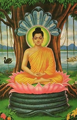 Buddhameditating