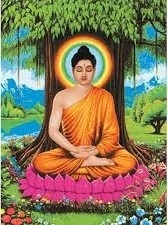 Buddhaandbhothitree