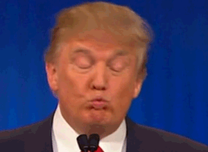Donald Trump face