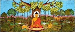 buddhaintheforest
