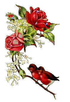 ROSE-BIRD