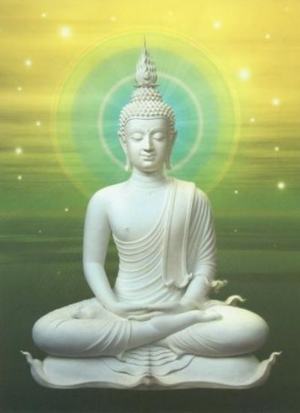 Buddha 20