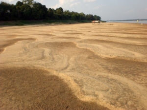 หาดทรายริมแม่น้ำโขง