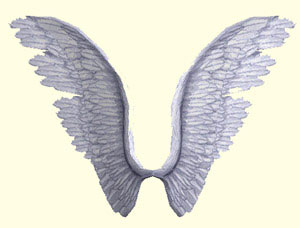 wing01