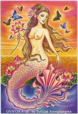 Mermaid Butterflies PR