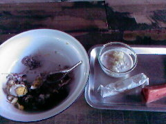 The food that I had eaten there, in the bowl