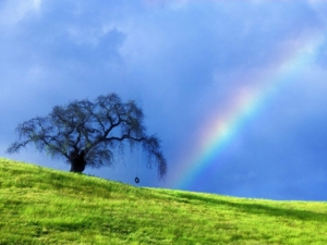 rainbow over a hill 1761