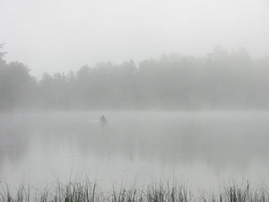 Paddle%20into%20the%20fog