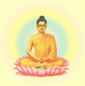 buddha moi