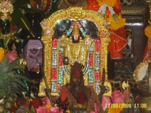 Tirupati Balaji
ประดับด้วยทอง และเพชรพลอย