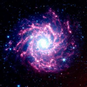 NGC628 Supernova 200