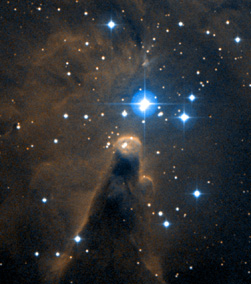 NGC 2264 00