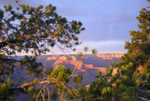 แกรนแคนยอน (Grand Canyon) เมื่อครั้งไปเที่ยว เซโดนา (Sedona, Arizona) มันอยู่ไม่ไกลจากกันมากนัก