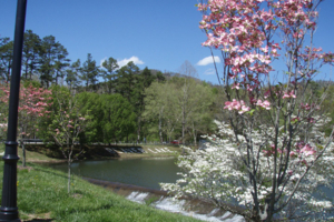หน้าฤดูใบไม้ผลิ (Spring) ทะเลสาปบ้านใน Asheville, North Carolina