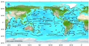 800px Ocean surface currents