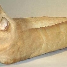 cat with bread 8