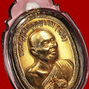 เหรียญพญานาค (เหรียญเลื่อนสมณศักดิ์) 
พ.ศ. 2518 เนื้อทองแดงกะไหล่ทอง
หลวงพ่อเชื้อวัด ใหม่บำเพ็ญบุญ ชัยนาท