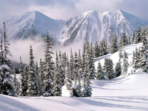 Winter Wonderland, British Columbia, Canada